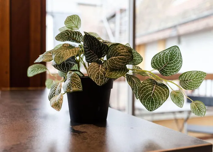 Les Cigognes By Interhome Appartement